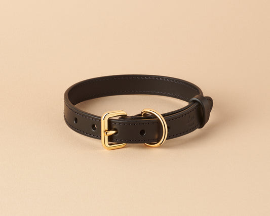 Collier noir pour chiens moyens