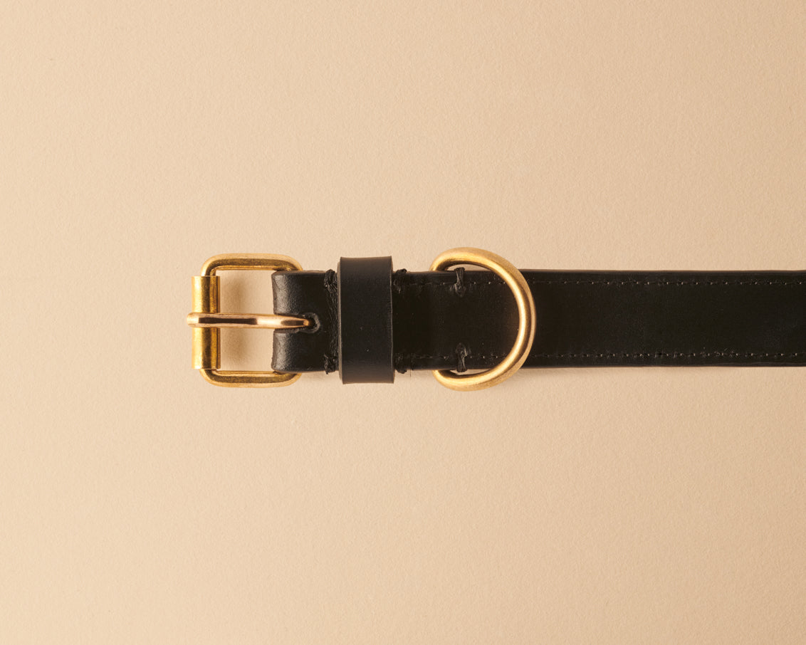 Collier noir pour petits chiens