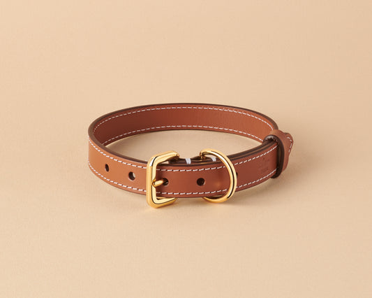Collier caramel pour chiens moyens