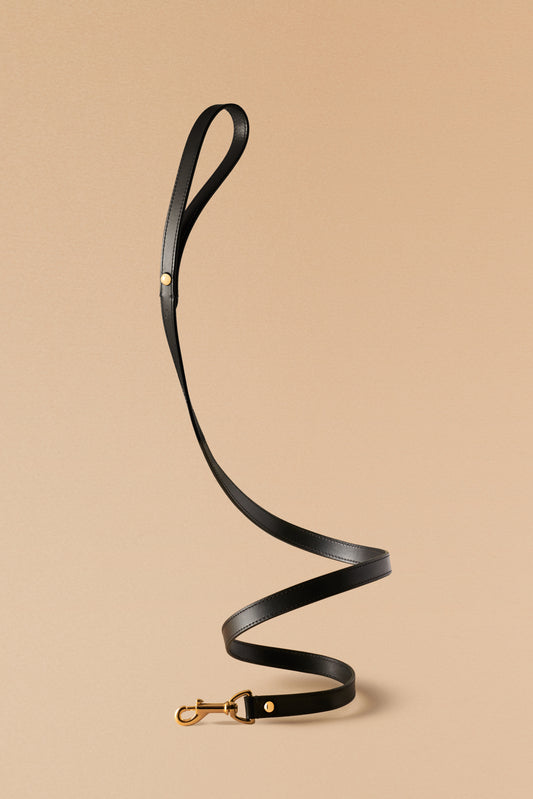 Laisse de ville noire