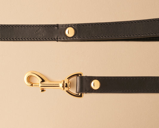 Laisse de ville noire