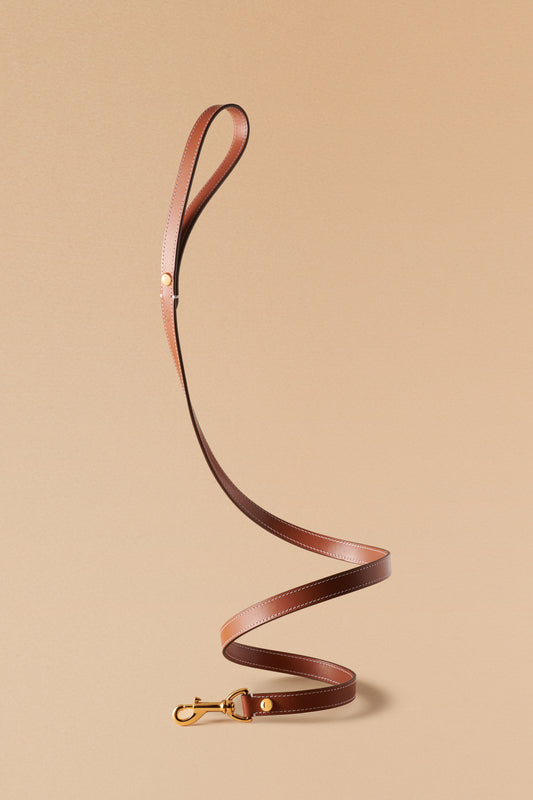 Laisse de ville caramel