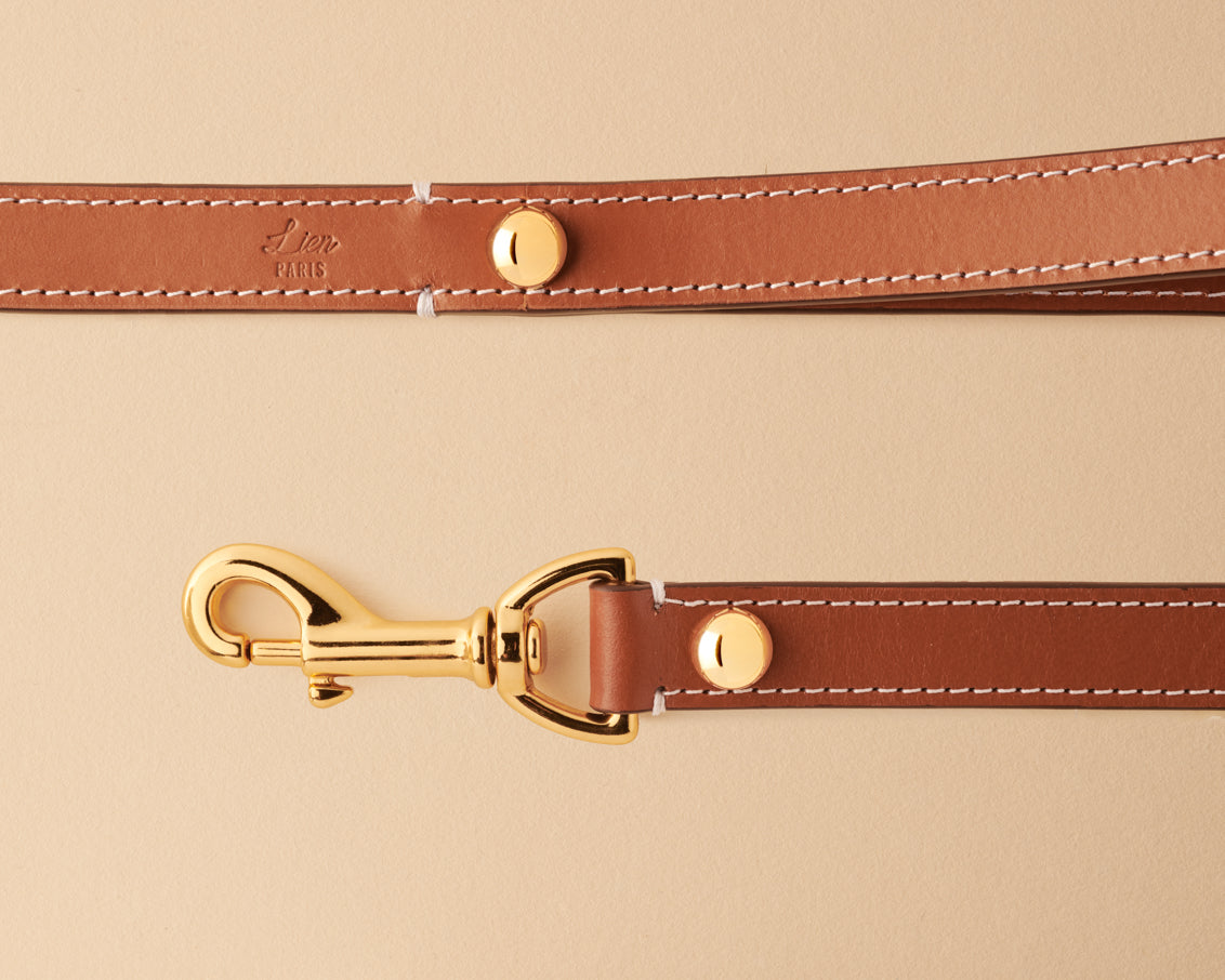 Laisse de ville caramel