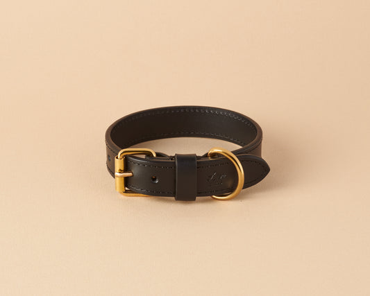 Collar for small dogs in black