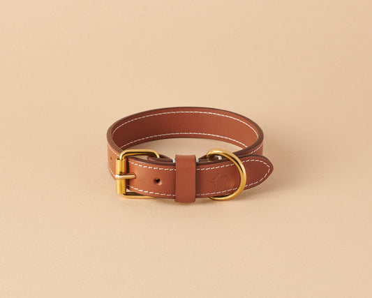 Collar for small dogs in caramel